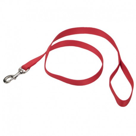 LAISSE NYLON WEB 1x48 RED COASTAL Laisses et colliers