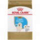 Golden Retriever Puppy / Golden Retriever Chiot 30 lb 13,6 k ROYAL CANIN Nourritures sèches