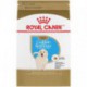 PROMOCLAIMRC - DÃ©cembre - Golden Retriever Puppy / Golden ROYAL CANIN Nourritures sèches