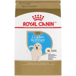 PROMOCLAIMRC - DÃ©cembre - Golden Retriever Puppy / Golden ROYAL CANIN Nourritures sèches