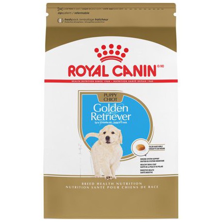 Golden Retriever Puppy / Golden Retriever Chiot 30 lb 13,6 k ROYAL CANIN Dry Food