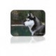 JDA TAPIS HUSKY 15 X 20 JDAA Bols Eau Et Nourriture