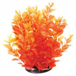 UT Orange Cardamine 10 UNDERWATER TREASURES Decorations Aquarium