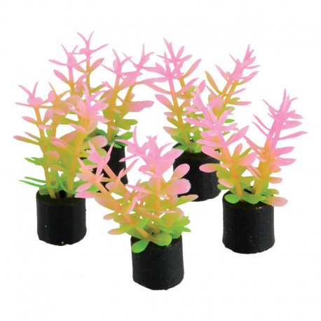 UT 5Pk Mini Plant Pink/Green UNDERWATER TREASURES Plantes artificielles