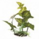 Anubias gracileFL, M, 22cm(9po)av base MARINA Plantes Artificielles