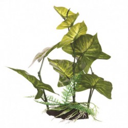 Anubias gracileFL, M, 22cm(9po)av base MARINA Artificial Plants