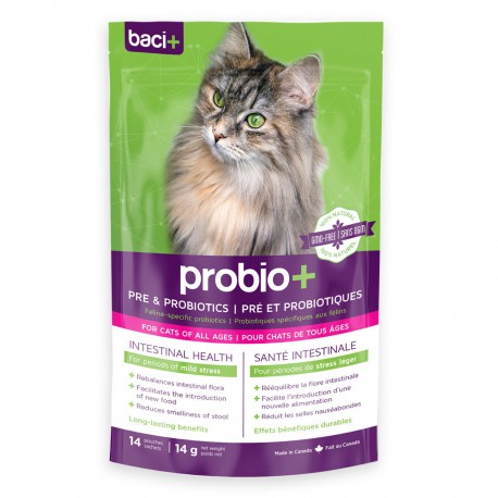 Probiotique pour chat 14 g BACI Treatment Products