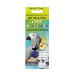 Ampoule HARI pour oiseaux, 26 W HARI Miscellaneous Accessories