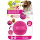 Balle extraordinaire résistante Xtra-R All for Paws6,4cm (2, ALL FOR PAWS Jouets