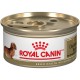 Dachshund / TeckelLOAF/PATE 3 oz 85g ROYAL CANIN Nourritures en conserve