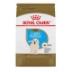 PROMOCLAIMRC - FÃ©vrier - Golden Retriever Adulte 30 lbs 13 ROYAL CANIN Nourritures sèches