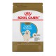 PROMOCLAIMRC - Novembre - Golden Retriever Adulte 30 lbs 13 ROYAL CANIN Nourritures sèches