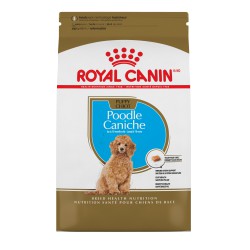 Poodle Puppy / Caniche Chiot 2 5 lbs 1 1 kg ROYAL CANIN Nourritures sèches