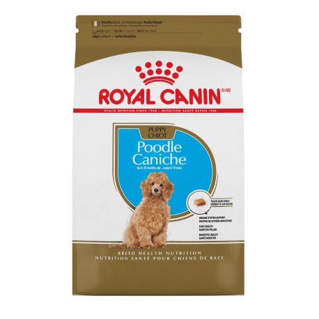 Poodle Puppy / Caniche Chiot 2  5 lbs 1,1 kg ROYAL CANIN Nourritures sèches