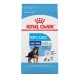 LARGE Puppy / GRAND Chiot 6 lbs 2,72 kg ROYAL CANIN Nourritures sèches
