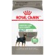 SMALL Digestive Care / PETIT Soin Digestif 3  5 lbs 1  6 k ROYAL CANIN Dry Food