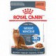 Ultra Light/ Ultra LegerCHUNKS IN GRAVY / MORCEAUX EN SAUCE  ROYAL CANIN Canned Food