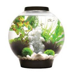 30L biOrb Classic with LED Light (Black)  Custom-made furniture and aquariums