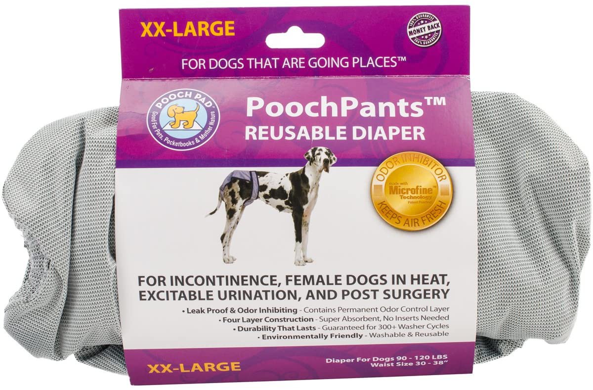 Pooch pants 2024