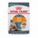 Intense Beauty / Beaute Intense  THIN SLICES IN GRAVY / TRAN ROYAL CANIN Nourritures en conserve