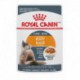 PROMOCLAIMRC - Septembre - Intense Beauty / BeautÃƒÂ© Inten ROYAL CANIN Nourritures en conserve