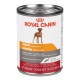 Adult / Adulte ALL DOGS / TOUS CHIENS LOAF/PATE 13 5 oz 38 ROYAL CANIN Canned Food