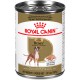 PROMOCLAIMRC - FÃ©vrier - BoxerLOAF IN SAUCE/PATE EN SAUCE ROYAL CANIN Nourritures en conserve