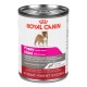 PROMOCLAIMRC - FÃ©vrier - Puppy / Chiot ALL DOGS / TOUS CHI ROYAL CANIN Nourritures en conserve