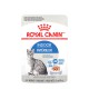 Indoor / Intrérieur         Loaf / PATE ROYAL CANIN Canned Food