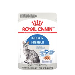 Indoor / Intrérieur Loaf / PATE ROYAL CANIN Canned Food