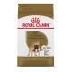 French Bulldog Adult / Bouledogue FranÃƒÆ’Ã‚Â§ais Adulte 17 ROYAL CANIN Nourritures sèches