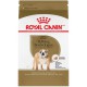 PROMOCLAIMRC - Novembre - Bulldog Adult / Bouledogue Adulte ROYAL CANIN Nourritures sèches