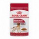 Adult Medium pouch / MOYEN Adulte Pochette   CHUNK ROYAL CANIN Canned Food