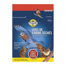 PICARDIE VERS DE FARINE 100GR  Food