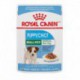 Puppy Small pouch / PETIT Chiot Pochette    CHUNKS IN GRAVY/ ROYAL CANIN Canned Food