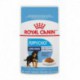 Puppy Large pouch / GRAND Chiot Pochette   CHUNKS IN GRAVY/M ROYAL CANIN Nourritures en conserve