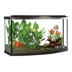 Aq équipé FL 26 dev arrondi éclair DEL FLUVAL Aquariums équipés