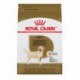 PROMOCLAIMRC - FÃ©vrier - Labrador Retriever Adulte 30 lbs ROYAL CANIN Nourritures sèches