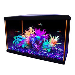 Aquarium équipé iGlo, 38 L (10 gal US) Aquariums équipés