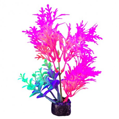 Plante iGlo Marina, 5,5 po (GPP-0899)  Artificial Plants