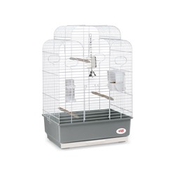 Cage Condo Living World pour oiseaux Cages equipees