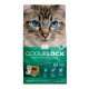 INT. ODOUR LOCK AGGL. ULTRA P_Brise appaisante 6 kg INTERSAND-ODOUR LOCK Litter