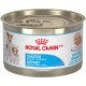 Starter mousse  5.1 oz 145 g ROYAL CANIN Nourritures en conserve