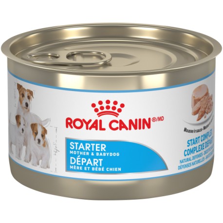 PROMOCLAIMRC - Septembre - Starter mousse 5.1 oz 145 g Nourritures en conserve