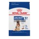LARGE Adult 5+ / GRAND Adulte 5+ 30 lb 13,6 kg ROYAL CANIN Dry Food