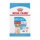 MEDIUM Puppy / MOYEN Chiot  17 lb 7  72 kg ROYAL CANIN Dry Food