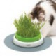 Jardinière d herbe Senses Catit 2.0 CATIT Jouets