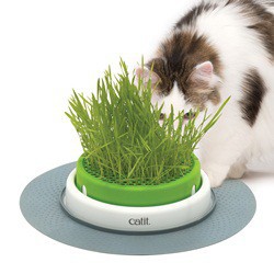 PROMO - DÃ©cembre - JardiniÃ¨re d herbe Senses Catit 2.0 CATIT Jouets