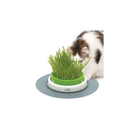 Jardinière d herbe Senses Catit 2.0 CATIT Jouets