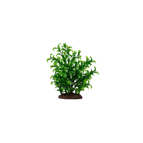 Ensemble grand bacopa Fluval, 8 po  Plantes artificielles